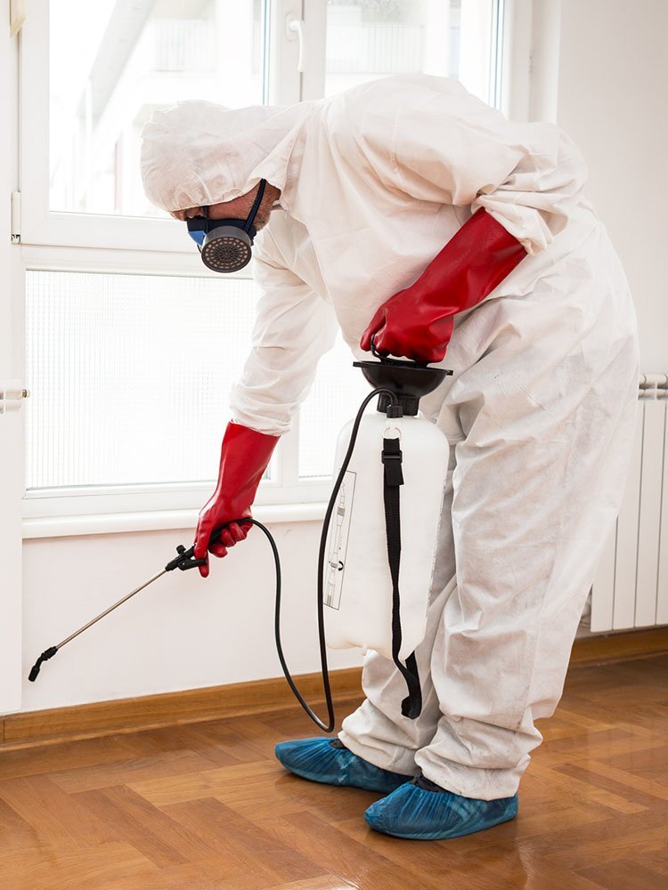 Pest Control