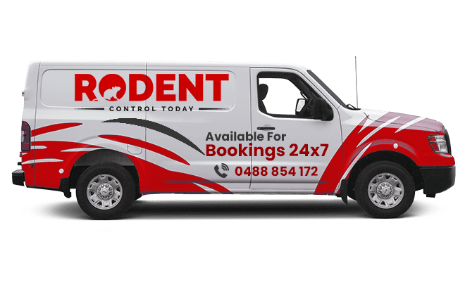 Rodent Control Today Melbourne Van